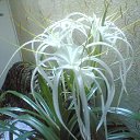 ���� �������, ��� - ��������� 11 ������ 2026