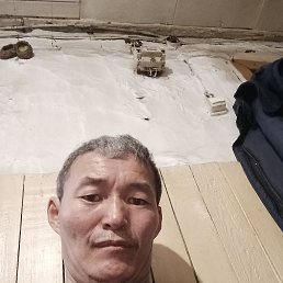 ����, 41 ���, ��������