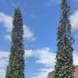 Aleks, ������, 45 ���