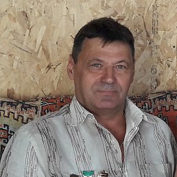 ����, �������, 66 ���