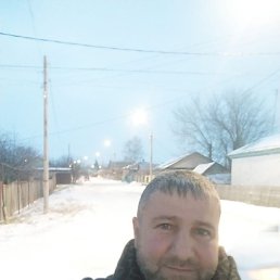 ������, ������, 43 ����