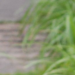 �������, �����, 70 ���