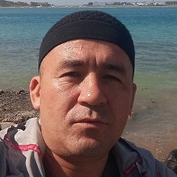 �����, ������, 36 ���