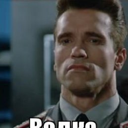 , 40, 