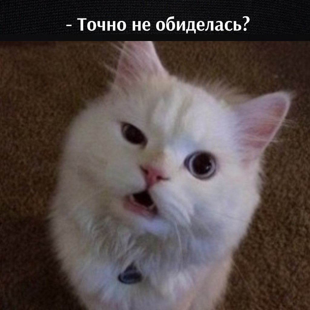       - 26  2024  15:37