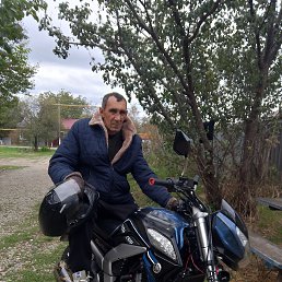 , 52, 
