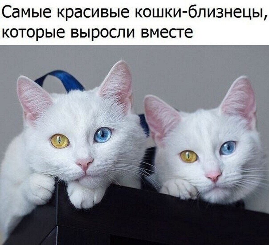 ? ,  ! - 25  2025  00:25