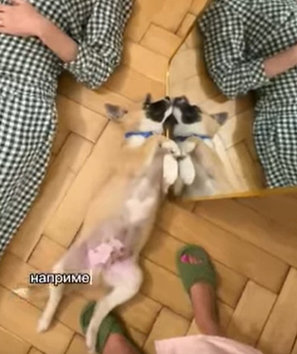   ,  -      ? - 2