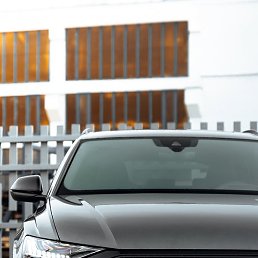 �����, �������, 33 ����