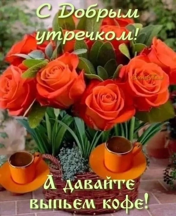   ,    . - 11  2025  23:36