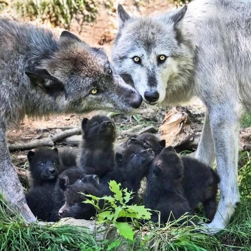 :)  :  ,     ?      ... - 5