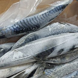 ���� ������, ���������, 34 ���� - ��������� 15 ������� 2023