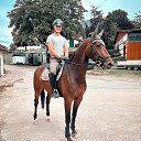 ���� ������, ����, 37 ��� - ��������� 31 ����� 2026 � ������ ���� ����������