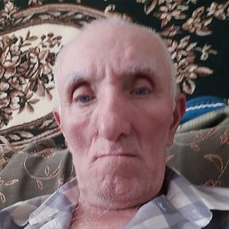 ����, ������, 66 ���