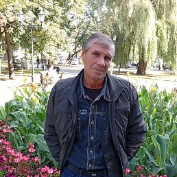 , 58, 