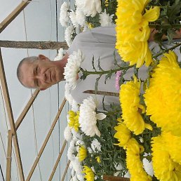 , 49 , 