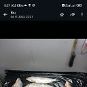 ���� ������, ������, 51 ��� - ��������� 16 �������� 2024 � ������ ���� ����������
