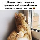 ���� ��������, ���������, 46 ��� - ��������� 15 ����� 2026 � ������ ���� ����������