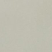 ���������, 51 ���, �����������