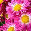 ���� �, �������, 53 ���� - ��������� 4 ���� 2024 � ������ ���� ����������