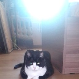 Фото Ольга, Калуга, 25 лет Ольга, Калуга, 25 лет