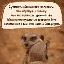 ���� �������, �����-��������� - ��������� 16 �������� 2025 � ������ ������ ��������