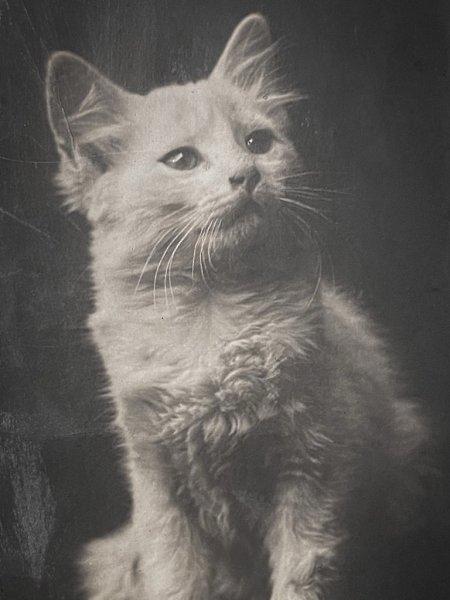    .       :  , , ... - 5