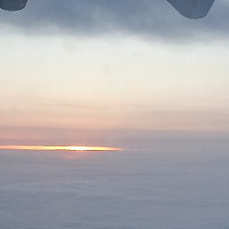 ���� ���������, ���, 44 ���� - ��������� 4 ������ 2024