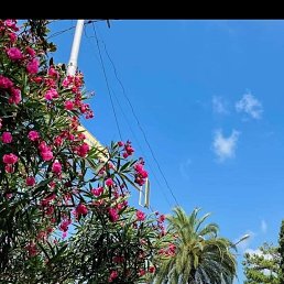 ���� ����, �������, 80 ��� - ��������� 29 ������� 2023