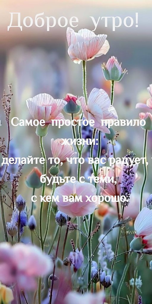   ,    . - 10  2025  23:05
