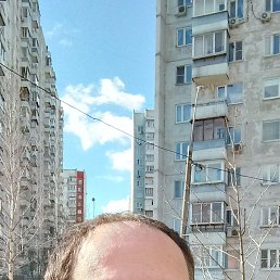 , 44, 