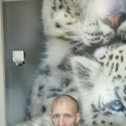 , 43 , 