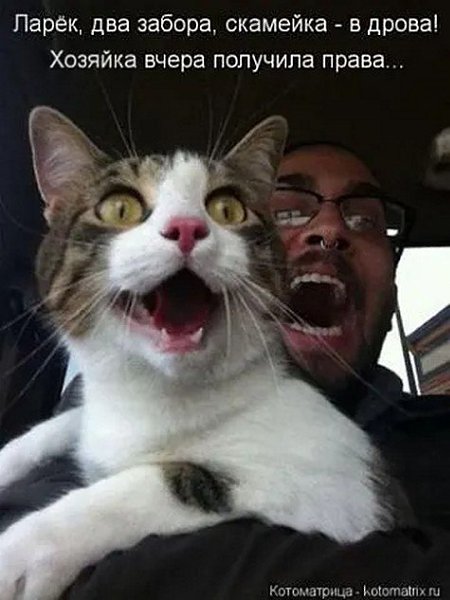 �� ����� - ������������� ������ �1 - 22 ������� 2025 � 20:50