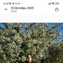 ���� ����, �������, 42 ���� - ��������� 28 ������ 2025 � ������ ���� ����������