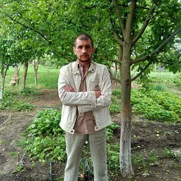 , 36, 