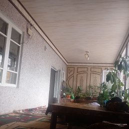 �, ������, 38 ���