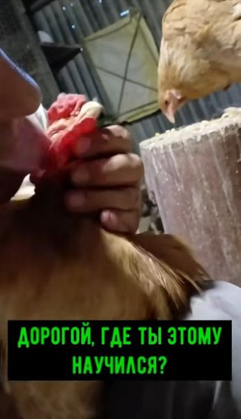   ,     ! -,     ? - ,  ...