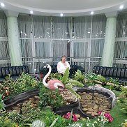 ������, 66 ���, ������