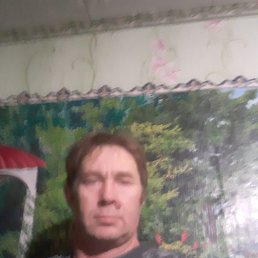 ������, 46 ���, ��������