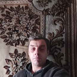 ������, 51 ���, ����������