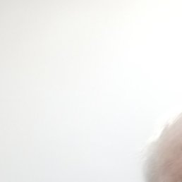 ��������, ������, 66 ���