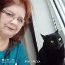 ���� ����, ������ ��������, 55 ��� - ��������� 28 ���� 2026 � ������ ���� ����������