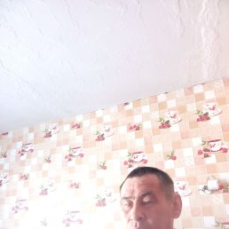 ϸ��, 41 ���, ����