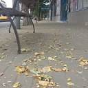 ���� ������, �����-���������, 60 ��� - ��������� 30 ���� 2026 � ������ ������ ��������