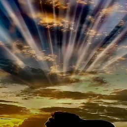 ���� �����, ���������, 40 ��� - ��������� 11 ������ 2024