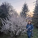 ���� ���, ������ - ��������� 9 ������ 2024 � ������ ���� ����������