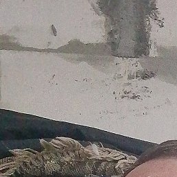 ����, ������������, 41 ���