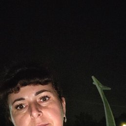 ����, �����������, 40 ���