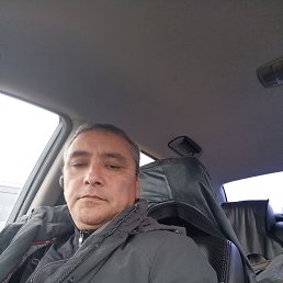 , 46, 