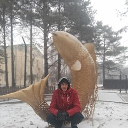 �������, ��������, 33 ����